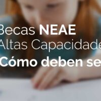 becas neae